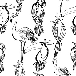 Continuous Drawing Black And White Seamless Pattern With Tropical Birds. Vector Background With Hand Drawn Line Drawing Sketch Flamingo, Toucan, Parrot, Little Bird. Black Graphic Illustration.