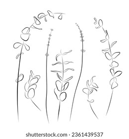 Kontinuierliche Zeichnung. Line Art Set von Eukalyptus sprigs Vektorgrafik