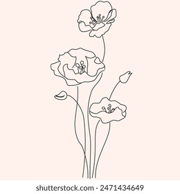 Continuous drawing of lines of poppy flowers. Editable line. Black and white art, print on clothes. Vector graphics. Merchandise print. Single line drawing