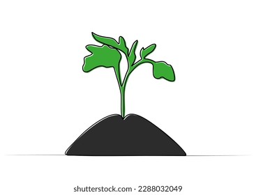 continuous drawing of a tomato sprout in the ground.