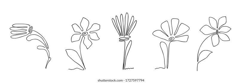Continuous Flower Illustration, One Line Art Flowering Blossom