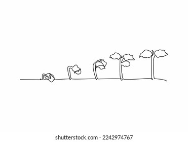 continuous image illustration of ornamental plant growth