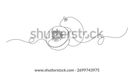 Continuous Kiwi Fruit one Line Drawing with Sliced Fruit
