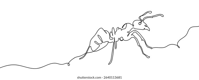 continuous line ant Vector art lines, transparent background.