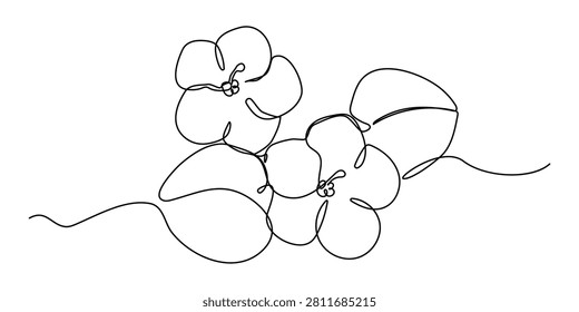 Continuous line art of African violet. Saintpaulia flowering plant black linear sketch isolated on white background.
