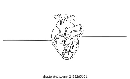 línea continua arte anatómico corazón humano. Diseño de concepto de medicina saludable un bosquejo dibujo ilustración vectorial