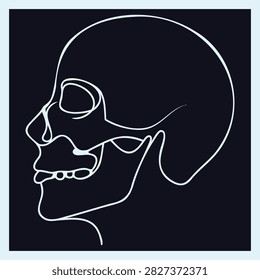 Continuous line art of bone structure, minimalist cranium side view, artistic skeletal representation for healthcare design.