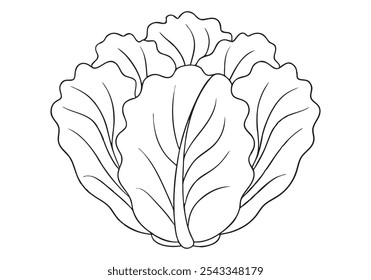 Continuous Line Art of Chinese Cabbage – Minimalist Vegetable and Healthy Food Illustration
