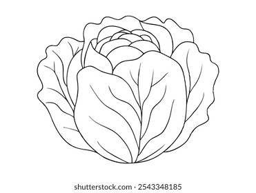 Continuous Line Art of Chinese Cabbage – Minimalist Vegetable and Healthy Food Illustration