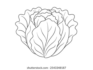 Continuous Line Art of Chinese Cabbage – Minimalist Vegetable and Healthy Food Illustration