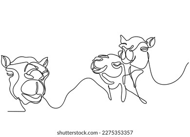 Continuous line art of closeup of camel's face. Camel line art. Exotic animals concept art.