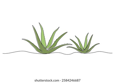 Continuous line art drawing of aloe vera plant. Aloe Vera continuous outline vector.	