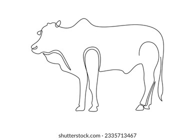 continuous line art drawing of a cow