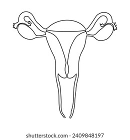Continuous line art drawing of female reproductive uterus and women's day single line art out line vector art illustration