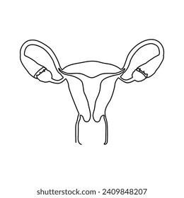 Continuous line art drawing of female reproductive uterus and women's day single line art out line vector art illustration