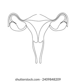 Continuous line art drawing of female reproductive uterus and women's day single line art out line vector art illustration