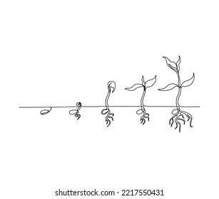 Continuous line art drawing of plant growing process. Plant growth processing start from bean seed single line art drawing vector illustration.