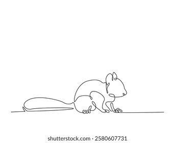 Continuous line art drawing of squirrel - animal concept. Squirrel in single line art drawing vector illustration. Editable stroke.