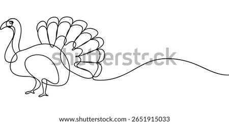 Continuous line art drawing a turkey bird with fanned tail on fowl animal
