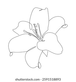 Continuous line art of flower, blossom petal illustration