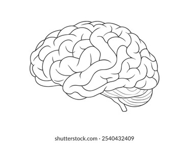 Continuous Line Art of a Human Brain. Minimalist Neuroscience Illustration for Medical and Educational Themes