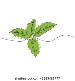 Illustration von Kunstwerken aus kontinuierlicher Linie. Minze oder Spearmint für Bio-Label. Vektorgrafik einzeln. Minimalistisches Design handgezeichnet.