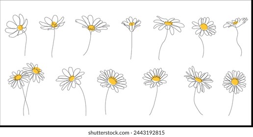 Continuous line art or One Line Drawing of daises  and Hand drawn vector illustrations , outline