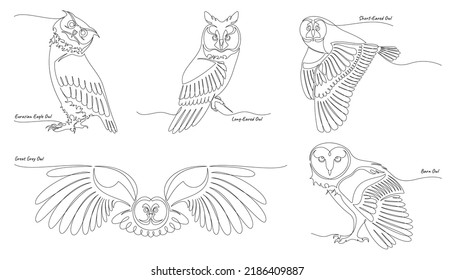 Continuous Line Art Owls Vector Set Stock Vector (Royalty Free ...