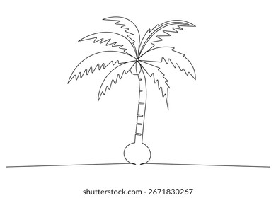 Línea continua que muestra el coco que brota en una palmera