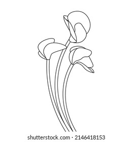 continuous line art and silhouette sketch flower coloring page illustration