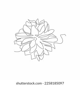 continuous line art of very pretty flower