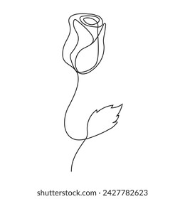 continuous line artwork of rose flower tulip vector illustration design.