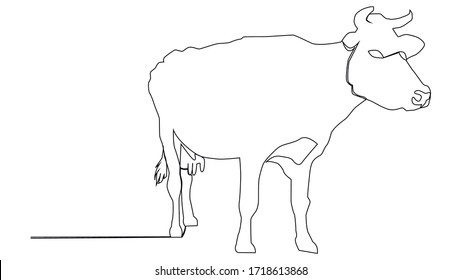 continuous line A beautiful cow is standing. Drawing black thin line on white background.