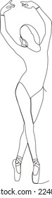 continuous line of beautiful women in the art of ballet dance