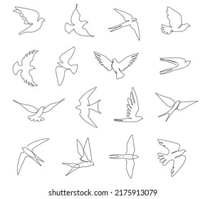 Continuous line birds. Flying swallow, doves and abstract bird with outstretched wings vector sketch illustration set. Animals with feathered wings as symbols of peace, freedom and hope