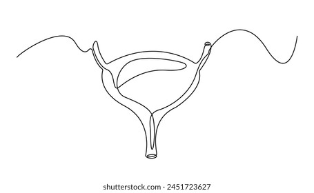 continuous line of the bladder. Single line anatomy of human body parts. Single line bladder icon isolated on white background