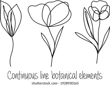 Continuous line botanical elements, flowers and leaf