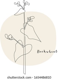 Continuous line buckwheat, grain crop. Vector line art. Perfect for logo, packaging design, icon, branding, cafe menu, flyer