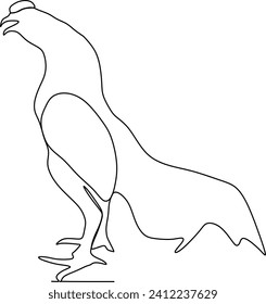 continuous line chicken animal black and white illustration
