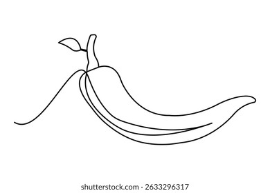 Continuous line chili illustration isolated vector