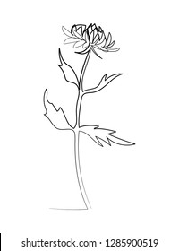 Continuous line chrysanthemum flower. One line drawing concept. Vector illustration isolated on white background.