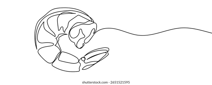 Linha contínua, carne de camarão cozido, camarão descascado, frutos do mar Mão desenhado linhas de arte vetor em fundo transparente.