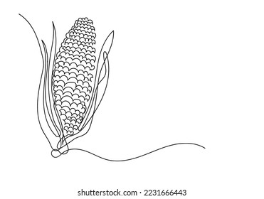 continuous line of corn. one line art drawing of peeled corn, health organic food. corn doodle isolated white background