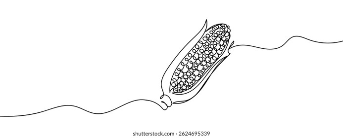 Continuous line, corn, peeled corn hand drawn line drawing illustration, vector, transparent background.
