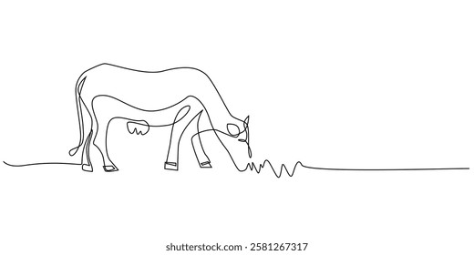 continuous line of cows eating grass.one line drawing of cow farm.single line vector illustration.isolated white background