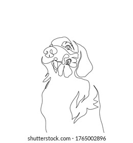 Continuous line of cute dog