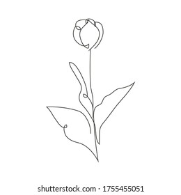 Continuous line decorative hand drawn tulip flower, design element. Can be used for cards, invitations, banners, posters, print design