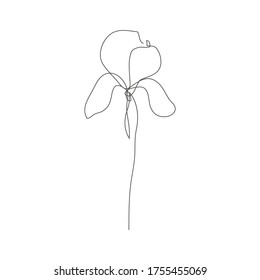 Continuous line decorative hand drawn iris flower, design element. Can be used for cards, invitations, banners, posters, print design