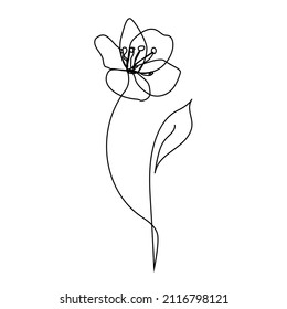 Línea continua Flor de tulipán decorativa, elemento de diseño. Se puede usar para tarjetas, invitaciones, banners, afiches, diseño de impresión. Fondo floral en estilo de arte lineal
