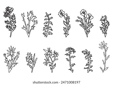 Continuous line drawing of abstract botanicals. Collection of wild plants and flowers. Hand drawn vector illustrations isolated on white.